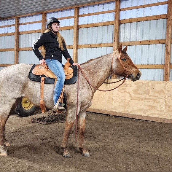 Meet your Posher, Morgan - Picture 4 of 16